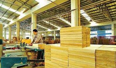 全國木材市場行情回暖，天津地區(qū)加工企業(yè)訂單爆滿迎來生產(chǎn)高峰
